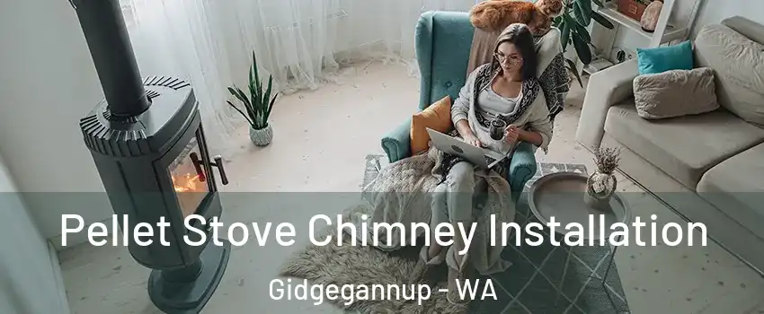 Pellet Stove Chimney Installation Gidgegannup - WA