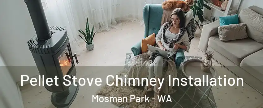 Pellet Stove Chimney Installation Mosman Park - WA