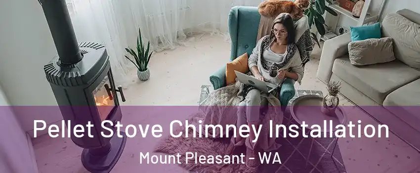 Pellet Stove Chimney Installation Mount Pleasant - WA