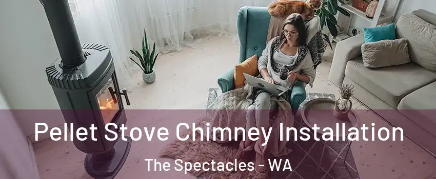 Pellet Stove Chimney Installation The Spectacles - WA