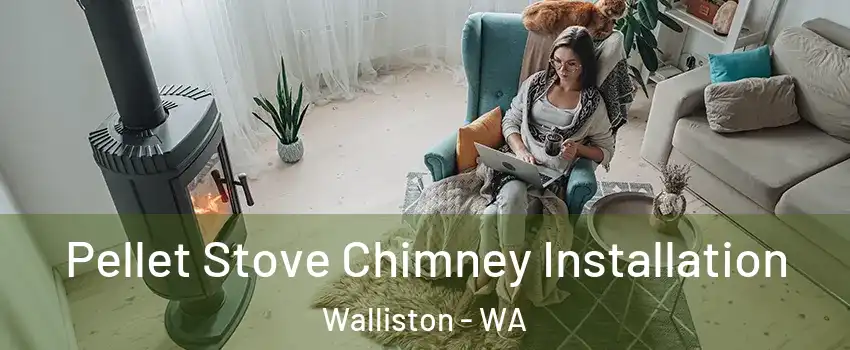 Pellet Stove Chimney Installation Walliston - WA