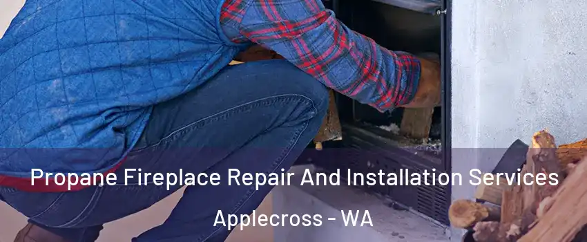 Propane Fireplace Repair And Installation Services Applecross - WA
