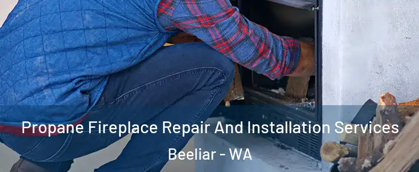 Propane Fireplace Repair And Installation Services Beeliar - WA