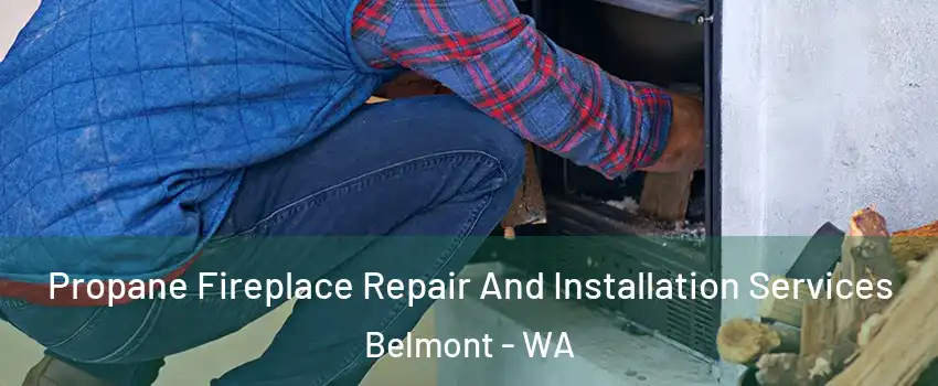 Propane Fireplace Repair And Installation Services Belmont - WA