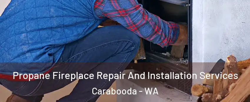 Propane Fireplace Repair And Installation Services Carabooda - WA