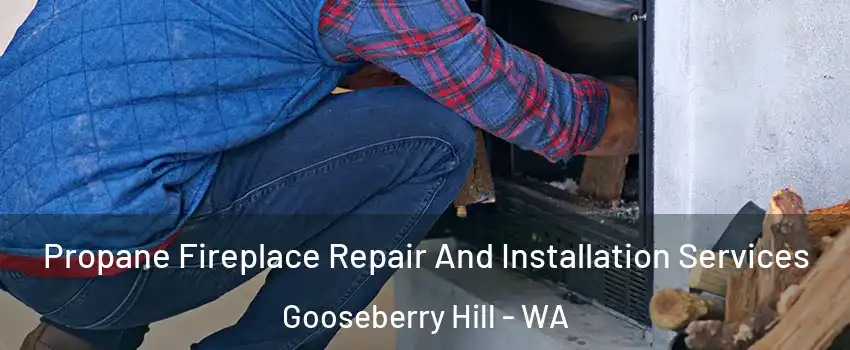 Propane Fireplace Repair And Installation Services Gooseberry Hill - WA