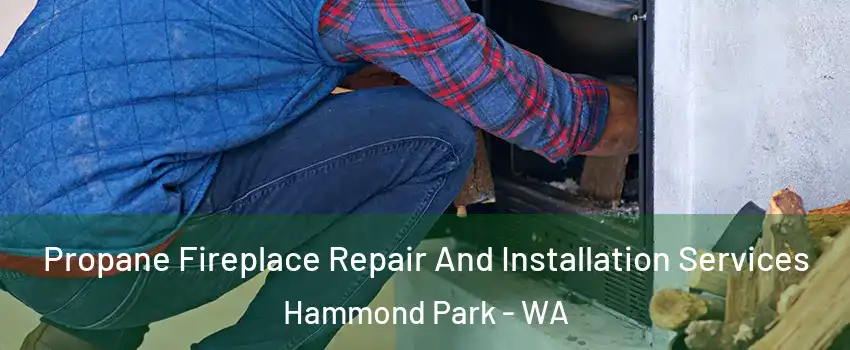 Propane Fireplace Repair And Installation Services Hammond Park - WA