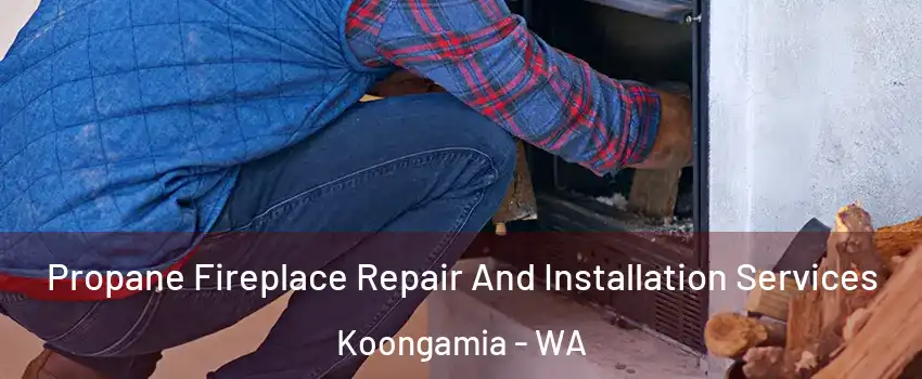 Propane Fireplace Repair And Installation Services Koongamia - WA