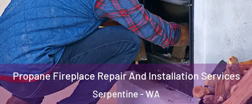 Propane Fireplace Repair And Installation Services Serpentine - WA