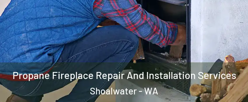 Propane Fireplace Repair And Installation Services Shoalwater - WA