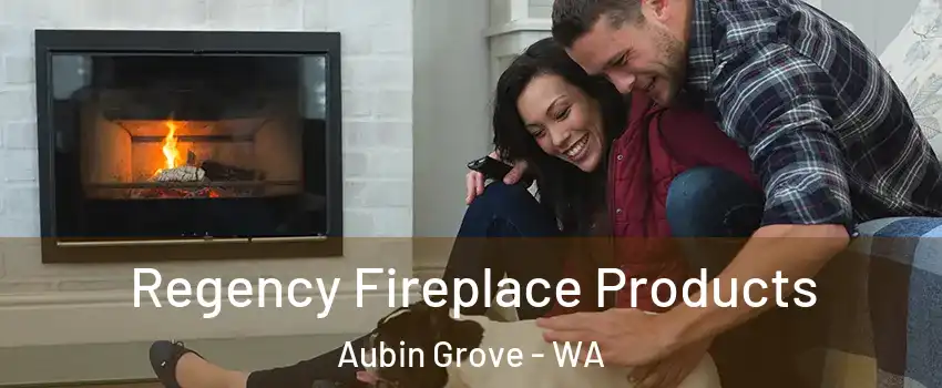 Regency Fireplace Products Aubin Grove - WA