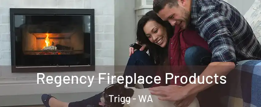 Regency Fireplace Products Trigg - WA