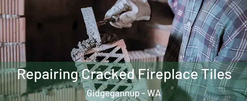 Repairing Cracked Fireplace Tiles Gidgegannup - WA
