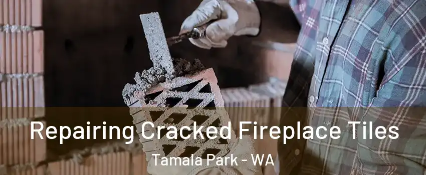 Repairing Cracked Fireplace Tiles Tamala Park - WA