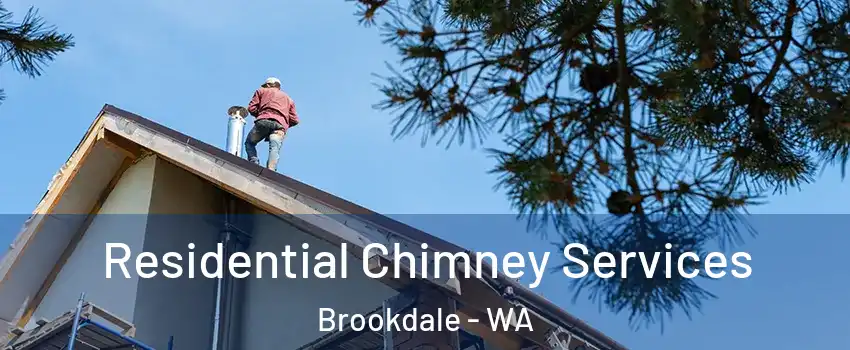 Residential Chimney Services Brookdale - WA