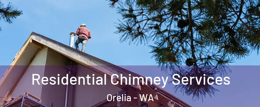 Residential Chimney Services Orelia - WA