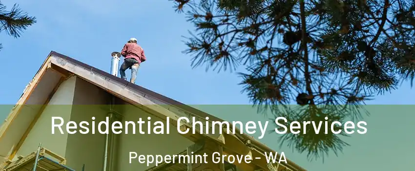 Residential Chimney Services Peppermint Grove - WA