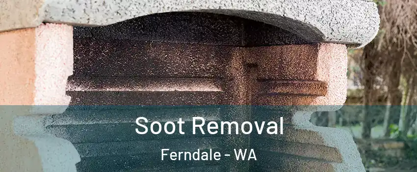 Soot Removal Ferndale - WA