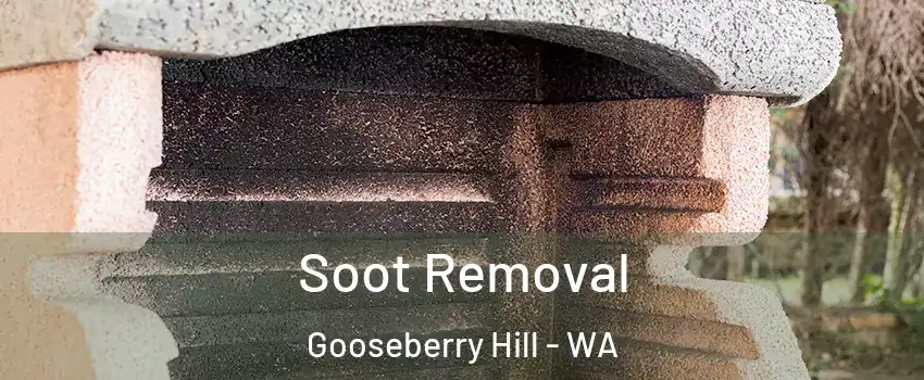 Soot Removal Gooseberry Hill - WA