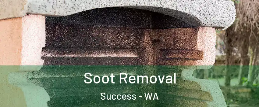 Soot Removal Success - WA