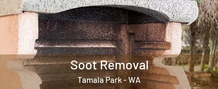 Soot Removal Tamala Park - WA