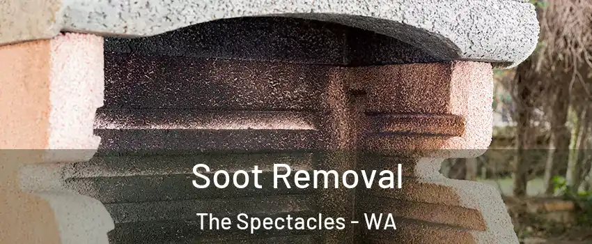 Soot Removal The Spectacles - WA