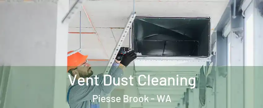 Vent Dust Cleaning Piesse Brook - WA
