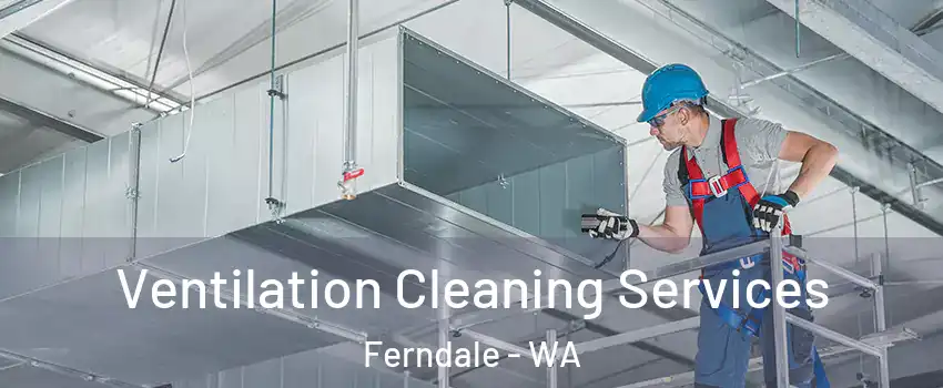 Ventilation Cleaning Services Ferndale - WA