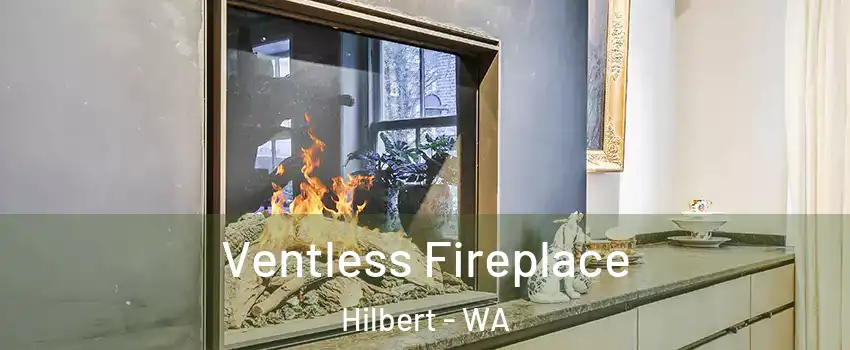 Ventless Fireplace Hilbert - WA