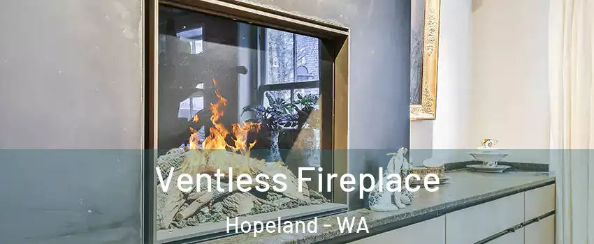 Ventless Fireplace Hopeland - WA