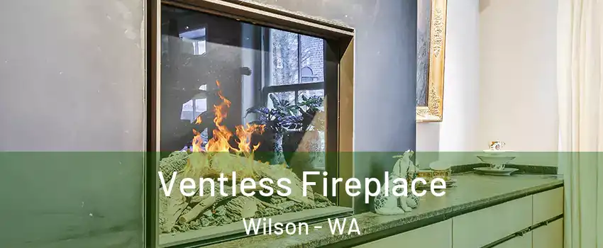 Ventless Fireplace Wilson - WA