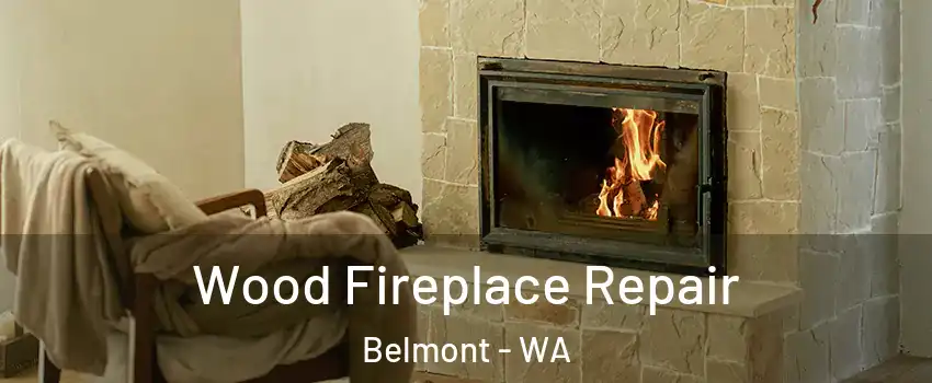 Wood Fireplace Repair Belmont - WA