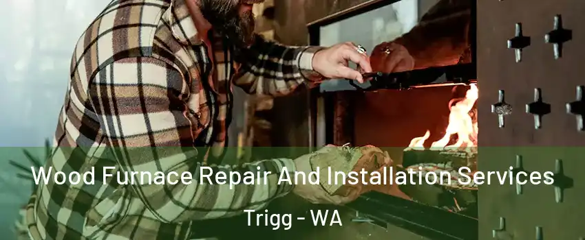 Wood Furnace Repair And Installation Services Trigg - WA
