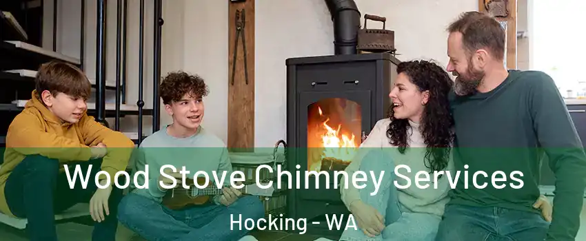 Wood Stove Chimney Services Hocking - WA