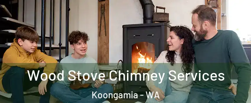 Wood Stove Chimney Services Koongamia - WA