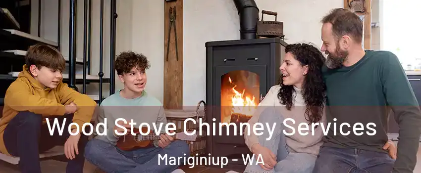 Wood Stove Chimney Services Mariginiup - WA