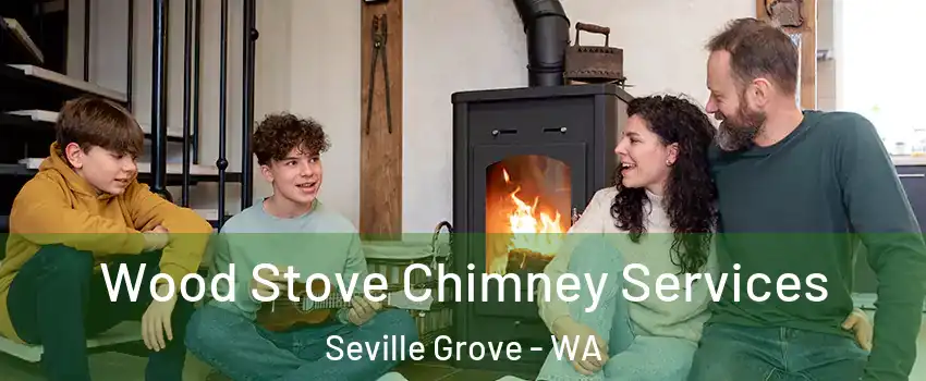 Wood Stove Chimney Services Seville Grove - WA