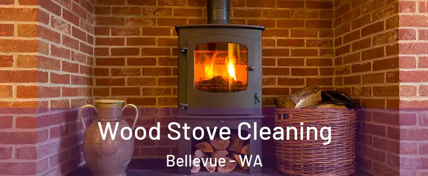 Wood Stove Cleaning Bellevue - WA