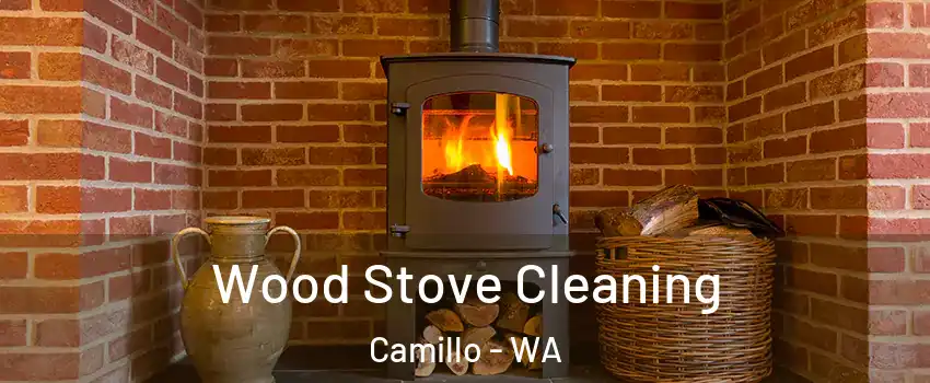 Wood Stove Cleaning Camillo - WA