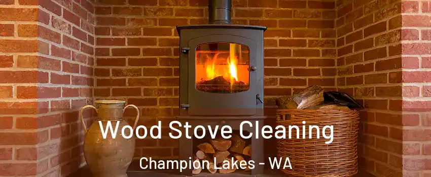 Wood Stove Cleaning Champion Lakes - WA