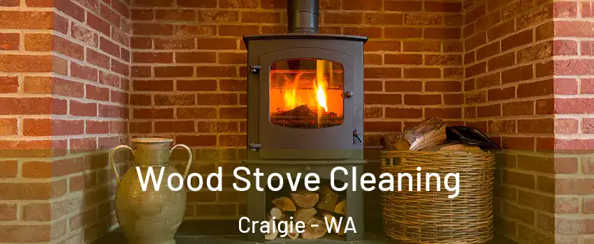 Wood Stove Cleaning Craigie - WA