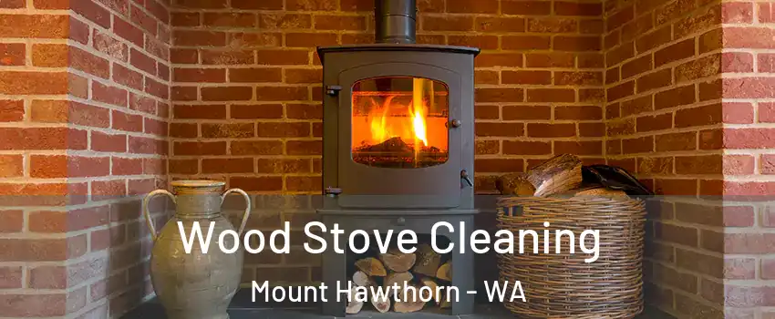 Wood Stove Cleaning Mount Hawthorn - WA