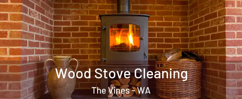 Wood Stove Cleaning The Vines - WA