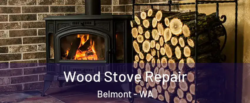 Wood Stove Repair Belmont - WA