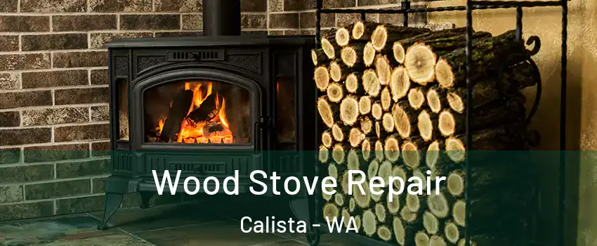 Wood Stove Repair Calista - WA