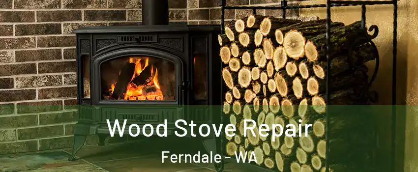 Wood Stove Repair Ferndale - WA
