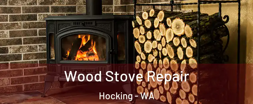 Wood Stove Repair Hocking - WA