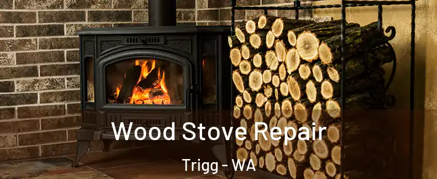 Wood Stove Repair Trigg - WA